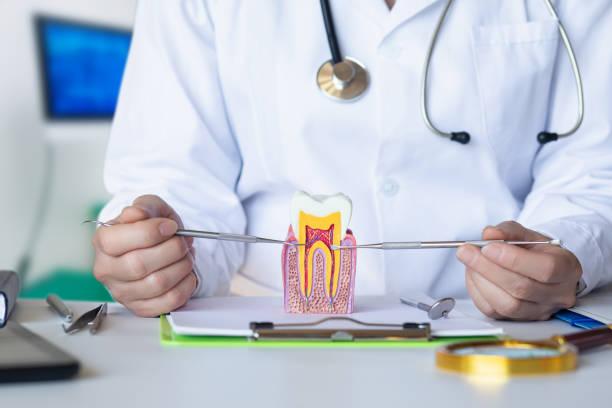 Best Broken or Chipped Tooth Repair in Demorest, GA